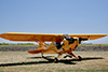 FLA_80-Steve-Fowles-Cub-3BB-Jul-4-2009-by-Tom-Reeves.t.jpg