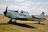 FLA_83-California-Warbirds-AT6-79-Charlie-Jun-2-2007-by-Tom-Reeves.t.jpg