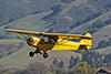 FLA_Kevin-Jakey-1940-Cub-653-Mar-23-2013-by-Tom-Reeves.t.jpg