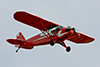FLA1_KWVI-Clipped-Wing-Orange-Cub_02-Mar-2013-by-Tom-Reeves.t.jpg