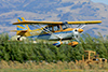 FLA_36-Visiting-Decathalon-Jul-25-2009-by-Tom-Reeves.t.jpg