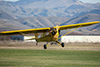 FLA_78-Cub-Dec-30-2006-by-Tom-Reeves.t.jpg