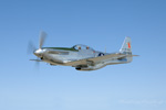 08_Minter_2027.t.jpg