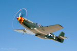 08_OldCrow_aa7248a.t.jpg