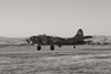 3o7_B17_2bw.t.jpg