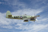 MF8_1550d.t.jpg