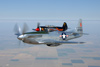 MF8_2097d.t.jpg